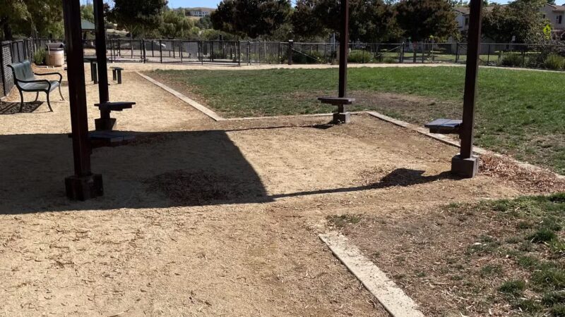 Bark & Ride - San Ramon, CA