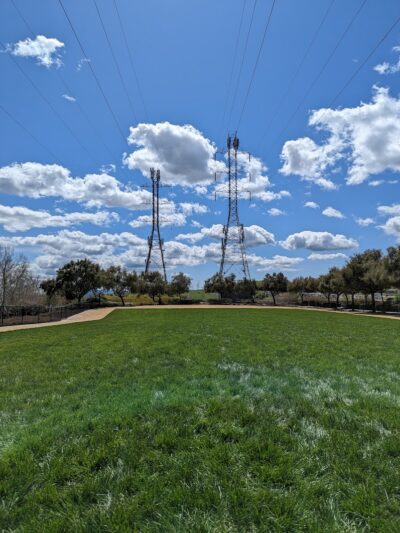 Bark & Ride - San Ramon, CA