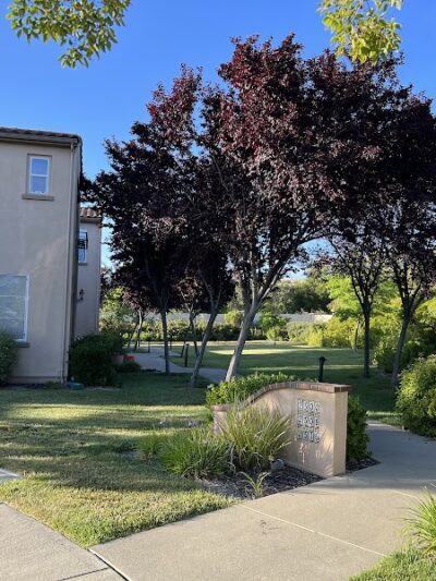 Bark & Ride - San Ramon, CA