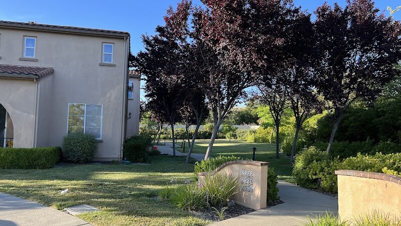 Bark & Ride - San Ramon, CA