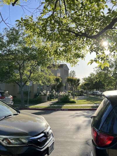 Bark & Ride - San Ramon, CA