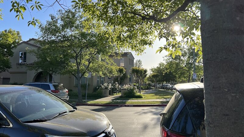 Bark & Ride - San Ramon, CA