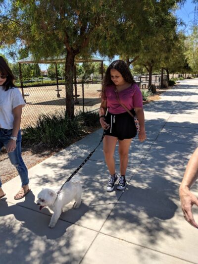 Bark & Ride - San Ramon, CA