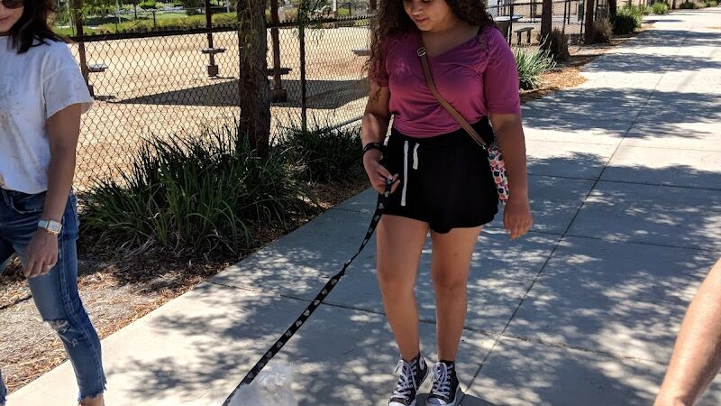 Bark & Ride - San Ramon, CA