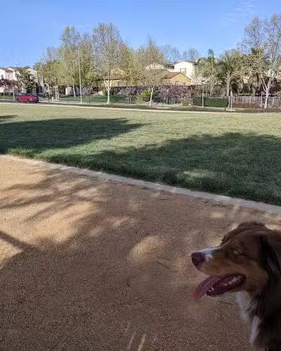 Bark & Ride - San Ramon, CA