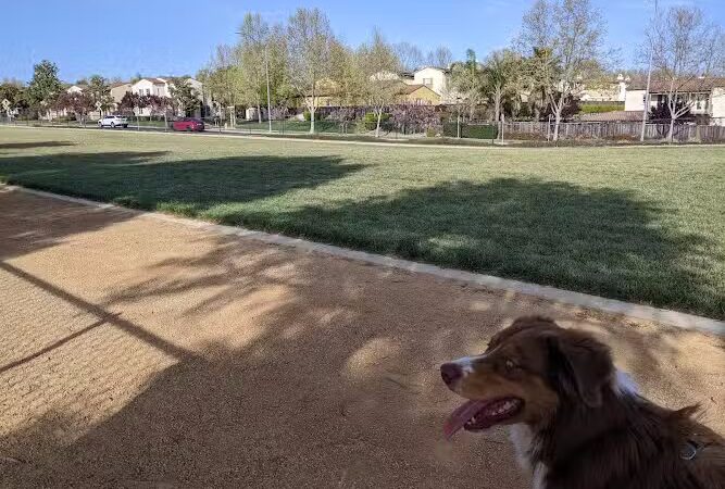 Bark & Ride - San Ramon, CA