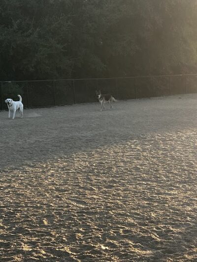 Bollinger Dog Run - San Ramon, CA