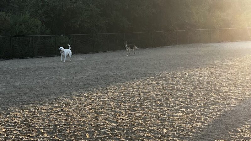 Bollinger Dog Run - San Ramon, CA