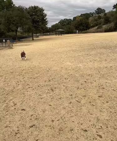 Bollinger Dog Run - San Ramon, CA