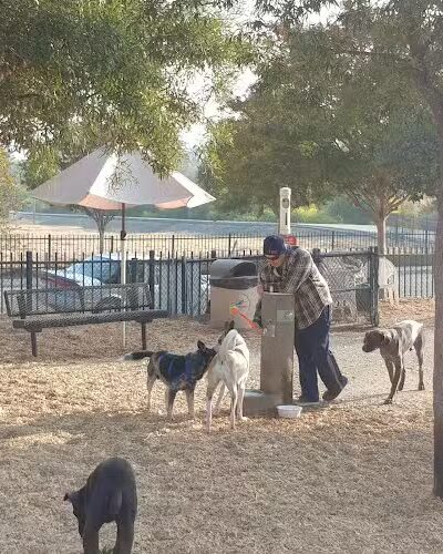 Del Mar Dog Park (Off-leash, open dawn-dusk) - San Ramon, CA