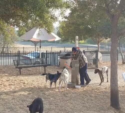 Del Mar Dog Park (Off-leash, open dawn-dusk) - San Ramon, CA