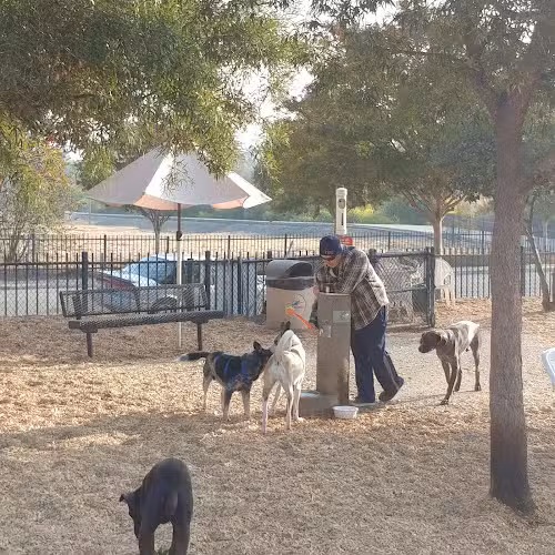 Del Mar Dog Park (Off-leash, open dawn-dusk) - San Ramon, CA