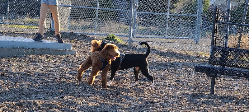 Del Mar Dog Park (Off-leash, open dawn-dusk) - San Ramon, CA