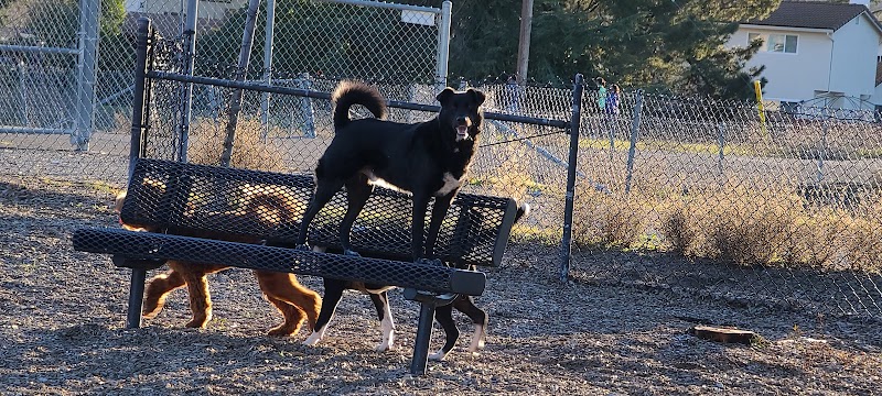 Del Mar Dog Park (Off-leash, open dawn-dusk) - San Ramon, CA