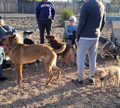 Del Mar Dog Park (Off-leash, open dawn-dusk) - San Ramon, CA