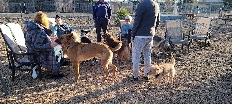 Del Mar Dog Park (Off-leash, open dawn-dusk) - San Ramon, CA