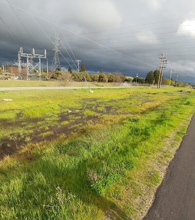 Del Mar Dog Park (Off-leash, open dawn-dusk) - San Ramon, CA