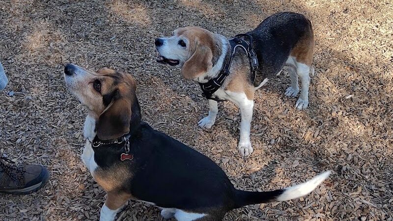 Del Mar Dog Park (Off-leash, open dawn-dusk) - San Ramon, CA