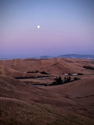 Windemere Dog Park - San Ramon, CA