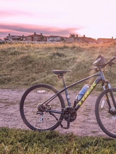 Windemere Dog Park - San Ramon, CA