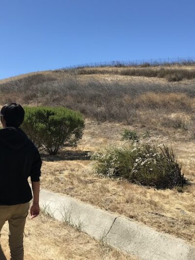 Windemere Dog Park - San Ramon, CA