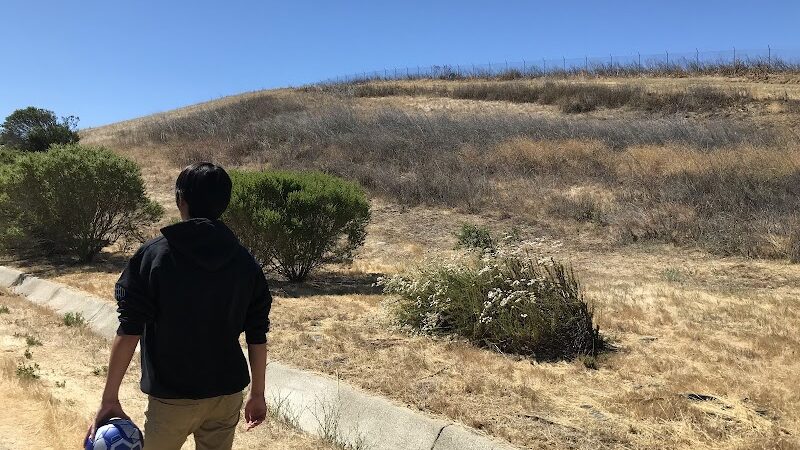 Windemere Dog Park - San Ramon, CA
