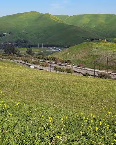 Windemere Dog Park - San Ramon, CA