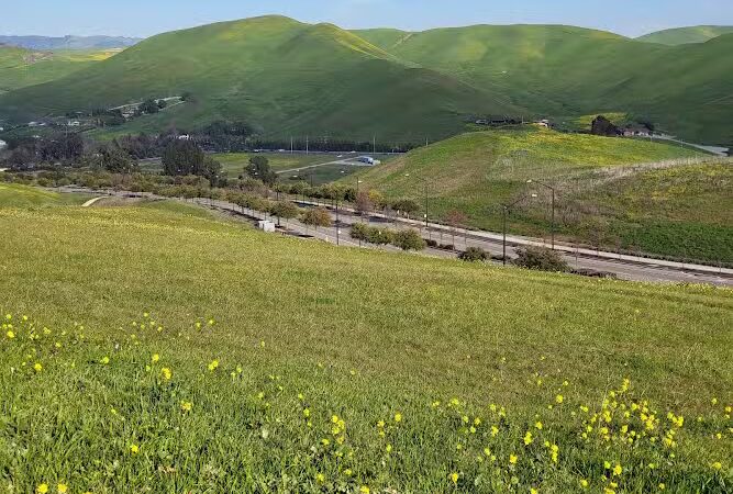 Windemere Dog Park - San Ramon, CA