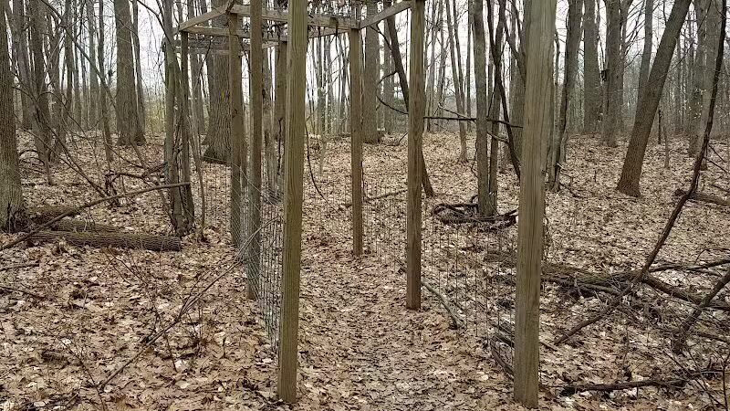 Ensley Township Nature Preserve - Sand Lake,