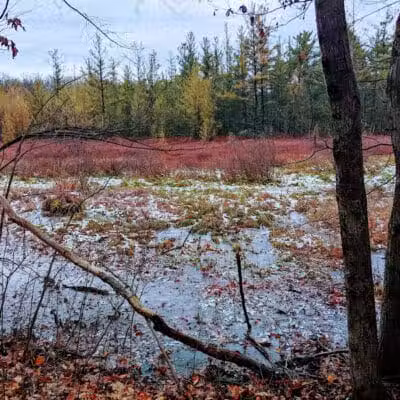 Ensley Township Nature Preserve - Sand Lake,