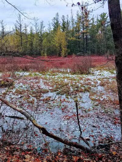 Ensley Township Nature Preserve - Sand Lake,
