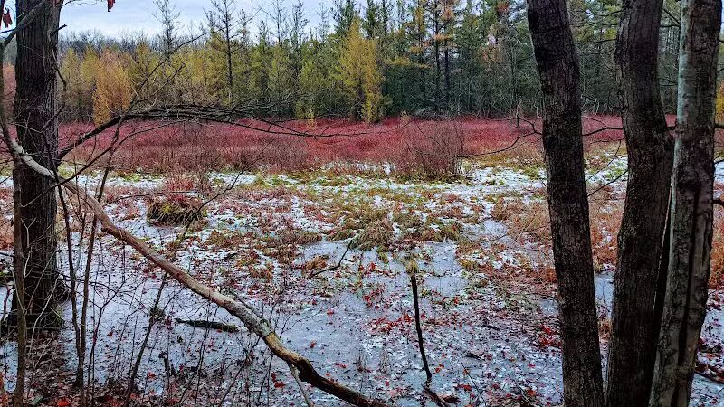 Ensley Township Nature Preserve - Sand Lake,