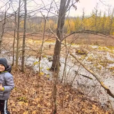 Ensley Township Nature Preserve - Sand Lake,