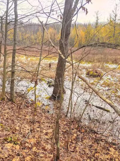 Ensley Township Nature Preserve - Sand Lake,
