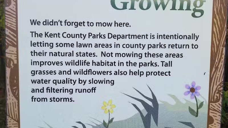 Gordon Park - Sand Lake,