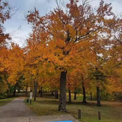 Gordon Park - Sand Lake,