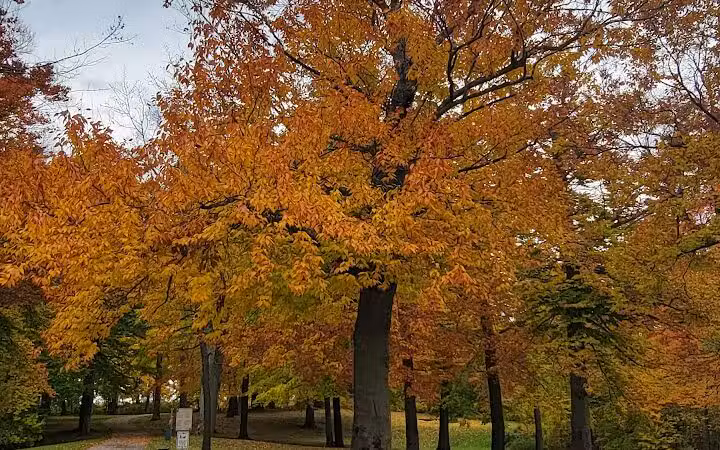 Gordon Park - Sand Lake,