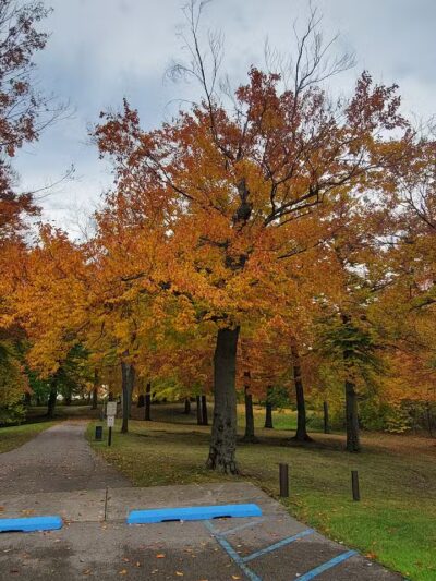 Gordon Park - Sand Lake,