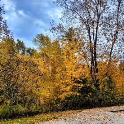 Gordon Park - Sand Lake,