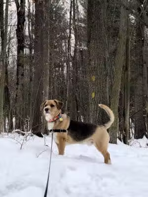 Ensley Township Nature Preserve - Sand Lake,