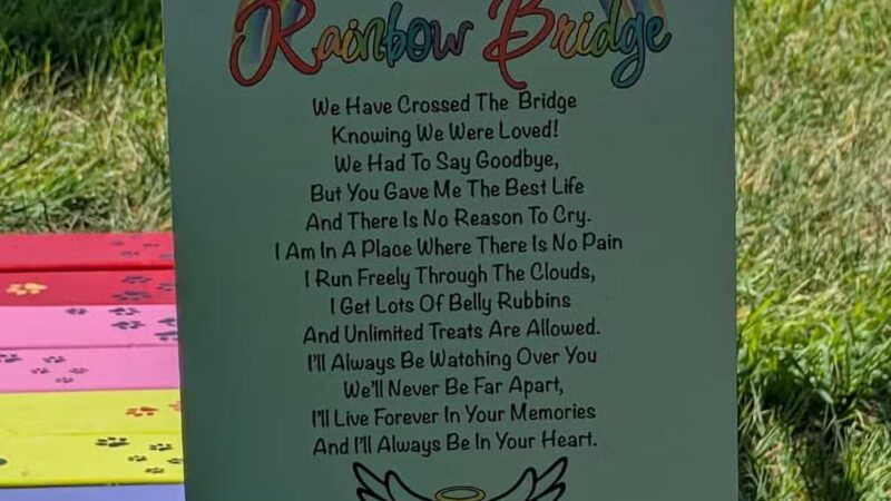 Sands Point Preserve - Sands Point, NY