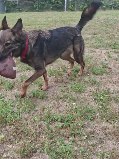 Sandstone Dog Park - Sandstone, MN