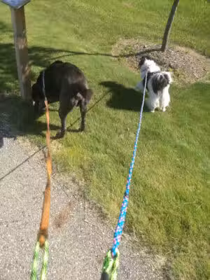 Diamond Walking Trail - Sandusky, MI