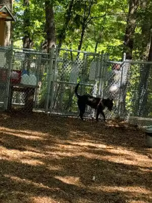 Sanford Dog Park - Sanford, ME