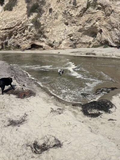 Arroyo Burro Beach County Park - Santa Barbara, CA