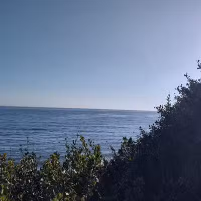 Arroyo Burro Beach County Park - Santa Barbara, CA