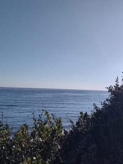 Arroyo Burro Beach County Park - Santa Barbara, CA