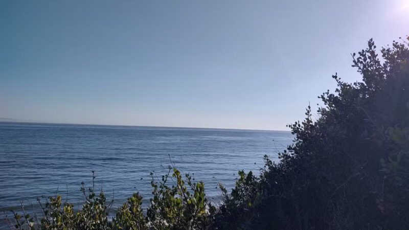 Arroyo Burro Beach County Park - Santa Barbara, CA