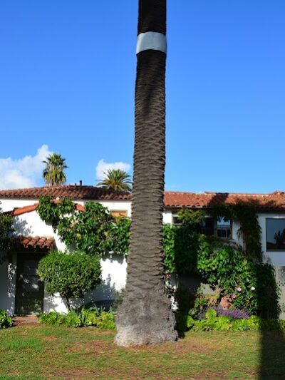 Ambassador Park - Santa Barbara, CA