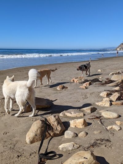 Arroyo Burro Beach County Park - Santa Barbara, CA